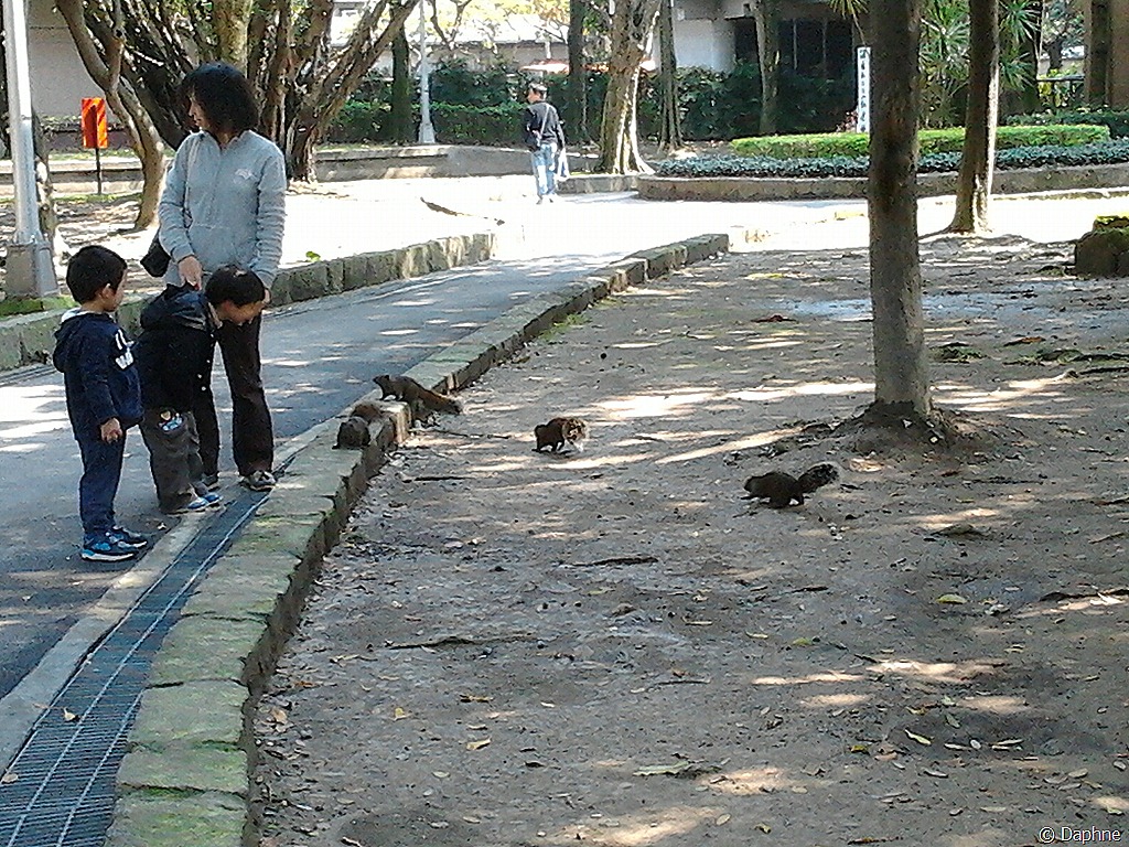 [2012-02-29%252013.21.27%255B4%255D.jpg]