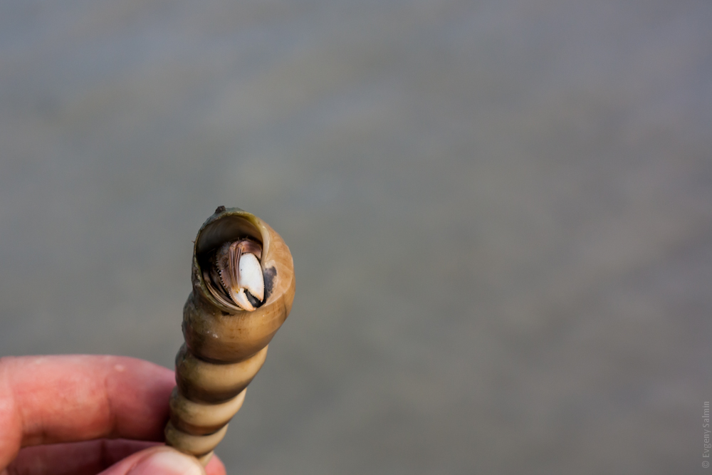 Лангкави, Малайзия - август 2012 (ч.2 - Пляжи)