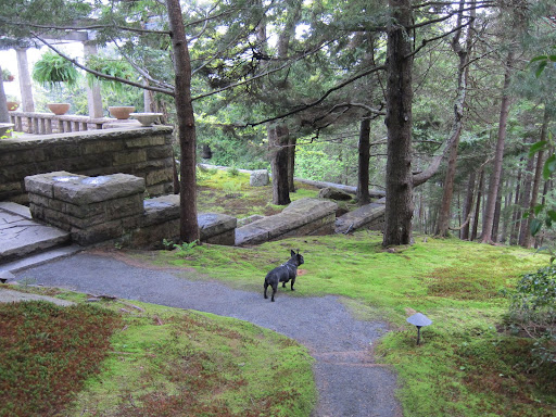 I always love breathing in the pristine air and looking out into the lush forest.  It's so refreshing here!