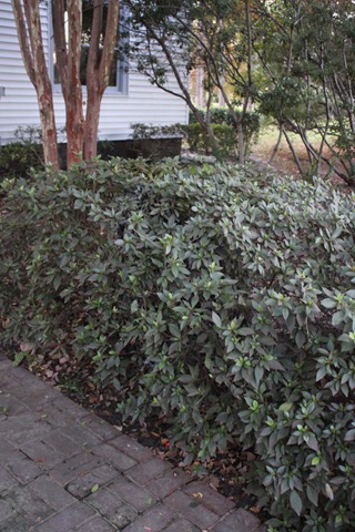[IMG_4363%255B3%255D.jpg]