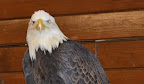 DSC_0109.JPG