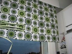 IMG_7023 IMG_7023