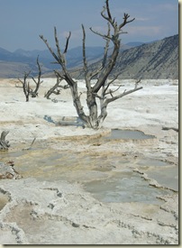 DSCF7901