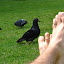 DSC_0085.JPG
