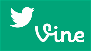 vine-twitter.gif