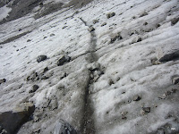 CIMG3360.JPG Photo