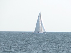 Provincetown beach w sailboat.8.16.2012