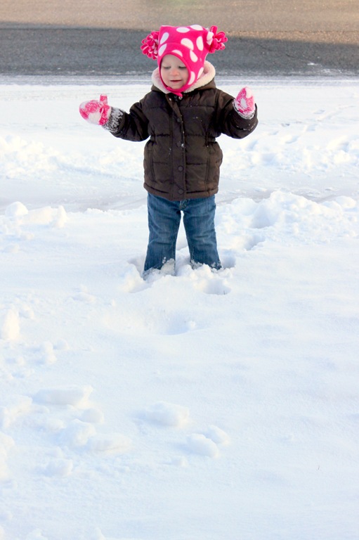 [2012-01-24%2520First%2520Snow%252016%255B4%255D.jpg]