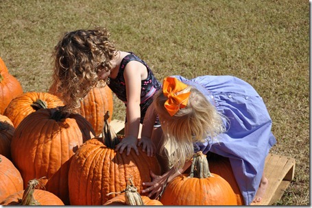 southern belle farm 100611 (76)