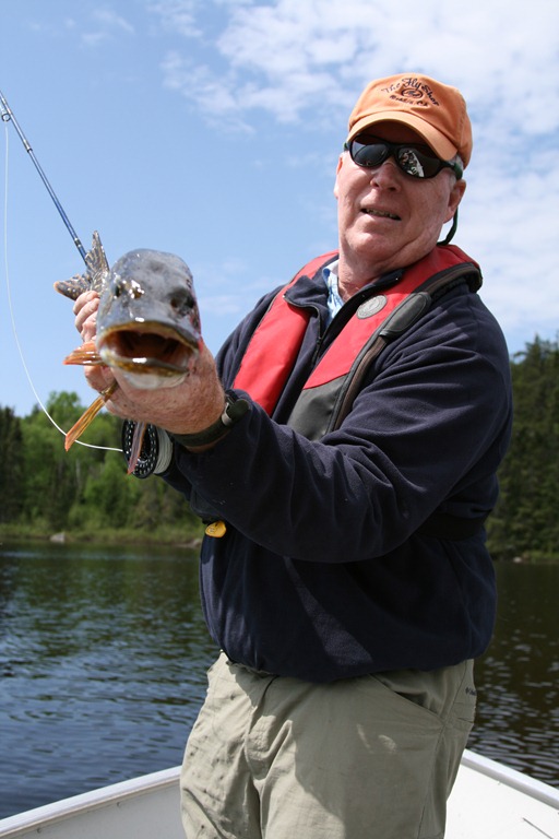 [Northern%2520pike%255B3%255D.jpg]