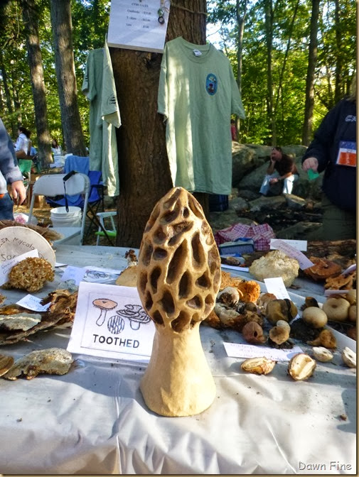 Mushroom festival_112