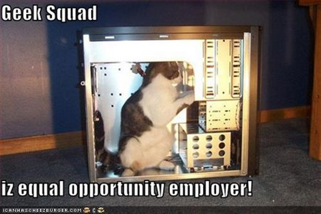 [catgeekcomputerSmall1.png]