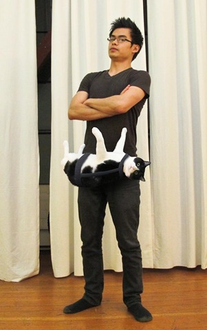 [strange-cats-expain-that-enhanced-buzz-2318-1333471540-33%255B2%255D.jpg]