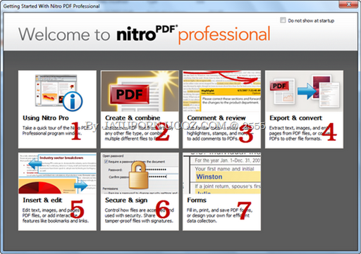 nitro pdf professional 11