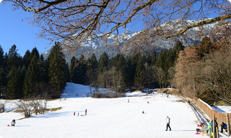 Edelweiss43