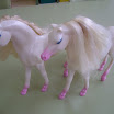 pareja rosa.JPG
