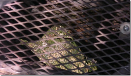 IMG_3936 IMG_3936