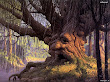 Nightmare Of Lands 7