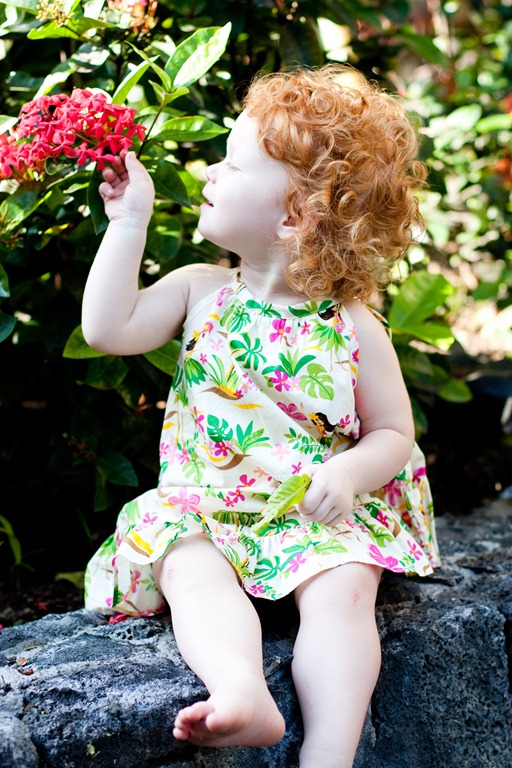 [20121219-IMG_5157%255B3%255D.jpg]