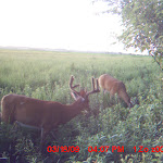 MDGC0163.JPG