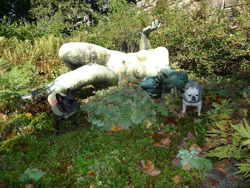 Sharkey, I'm always so impressed when I see this larger-than-life bronze 1934 nude, reclining woman, called La Riviere, by French sculptor and painter Aristide Maillol!  Being French, do you think he sculpted any French bulldogs?