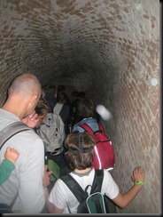 IMG_0856 IMG_0856