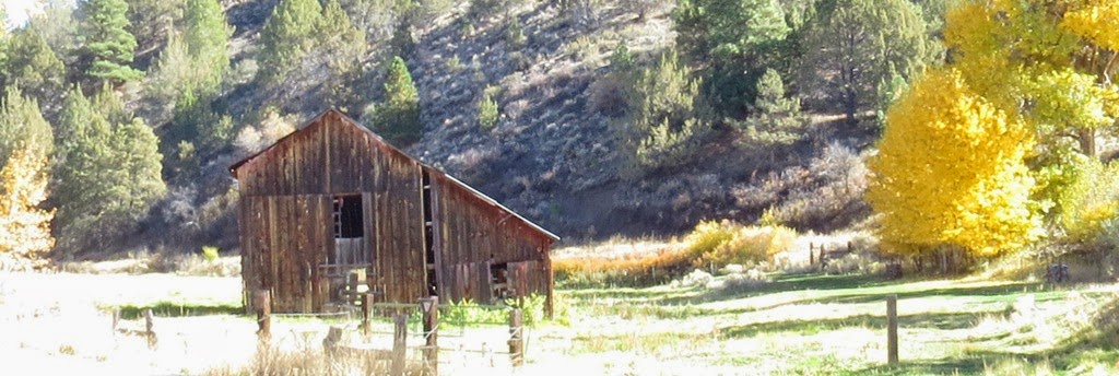 [the-barn-from-the-truck-CrystalHarli%255B2%255D.jpg]