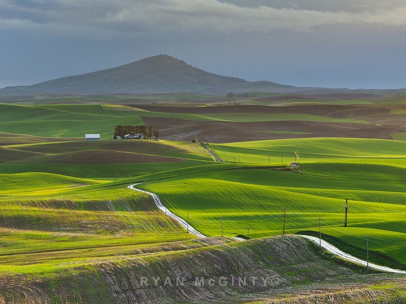 palouse-17 palouse-17