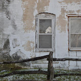 "Windows" - copyright David Thompson