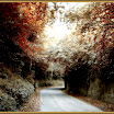 PIC_0016 copy.jpg
