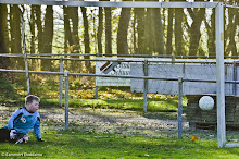 20121201 - REIDERLAND E2 - WVV E3 - 027.jpg