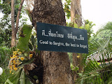 P3102418.JPG