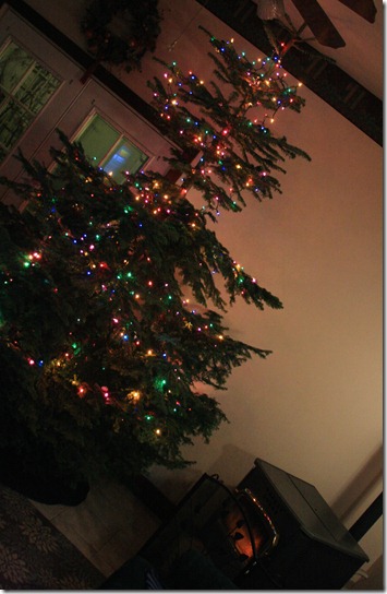 christmas 2011 066