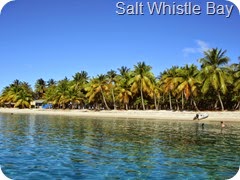 018 Salt Whistle Bay