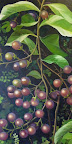 Beth Dilly "Bittersweet" 2011 Oil On Canvas 24 x 48 $1500 Beth Dilly "Bittersweet" 2011 Oil On Canvas 24 x 48 $1500