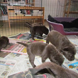 IMG_1665.JPG