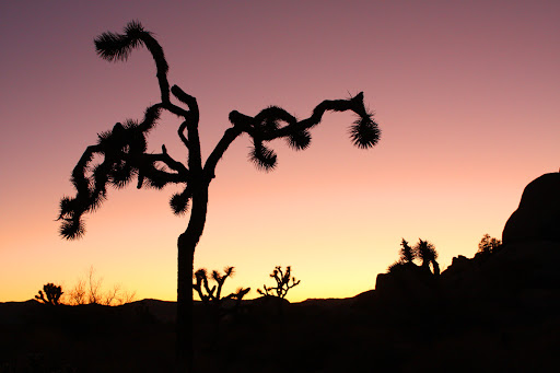 Highlights include hot chili Highlights include hot chili