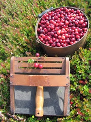 cranberry measure and snap machine1. 9.2013 cranberry measure and snap machine1. 9.2013
