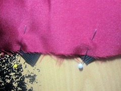 IMG_0451 IMG_0451