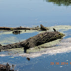 DSCN4176.JPG