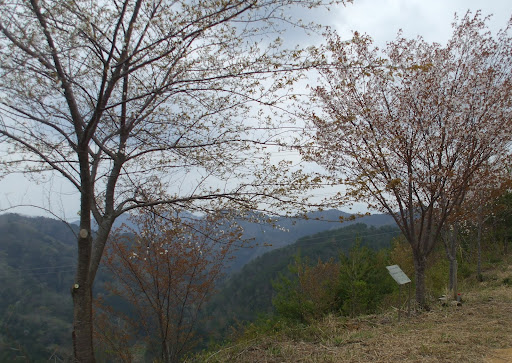 DSCF6611.JPG
