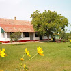csemo_kepei_12.jpg