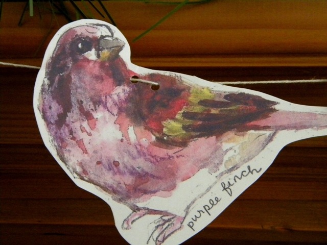 [Bird%25205%255B8%255D.jpg]