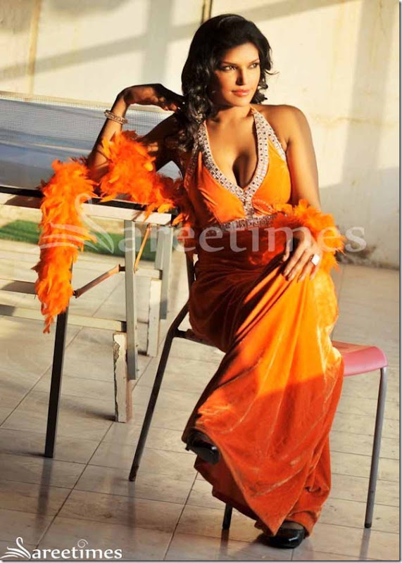 Actress Shalini Naidu Spicy Hot Photoshoot Stills