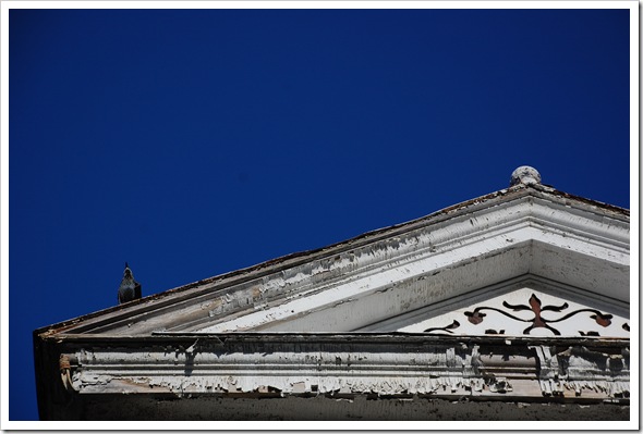 Starling Rooftop (1)
