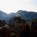 IMG_8576.jpg