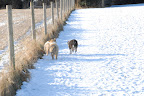_DSC0030.JPG