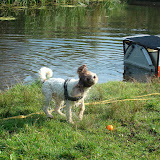 r. 19 september 2009