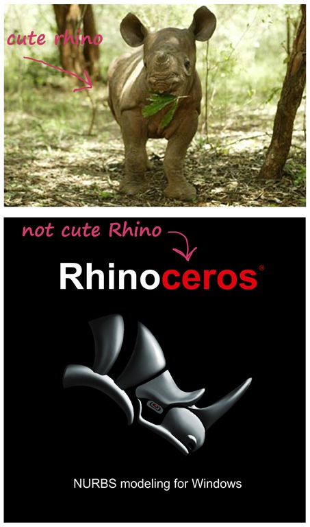 [rhino%255B4%255D.jpg]