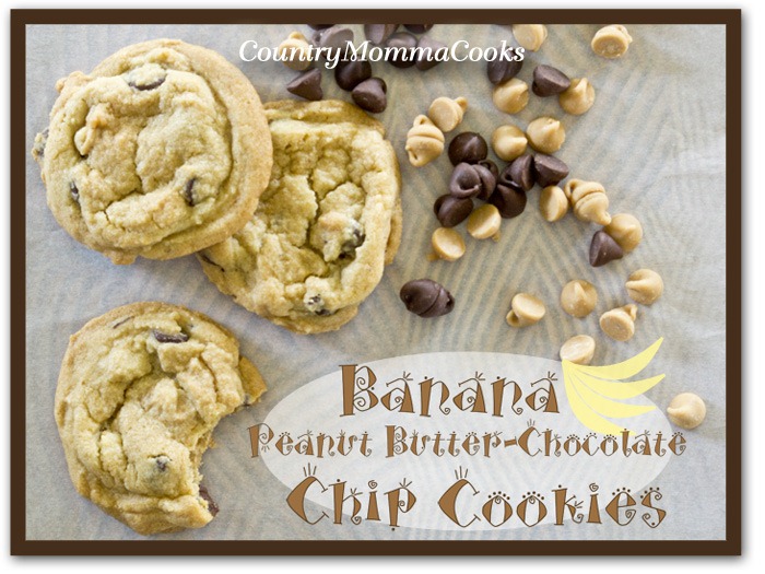[banana-chip-cookies%255B3%255D.jpg]